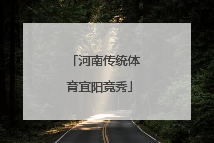 河南传统体育宜阳竞秀