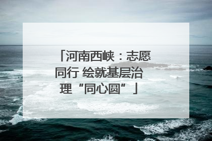 河南西峡：志愿同行 绘就基层治理“同心圆”