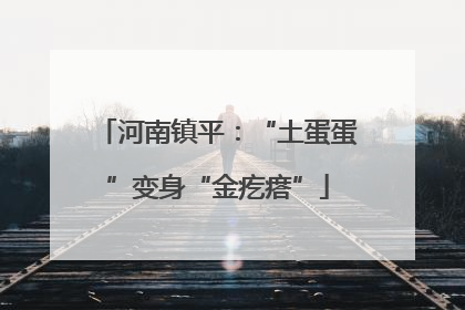 河南镇平：“土蛋蛋”变身“金疙瘩”