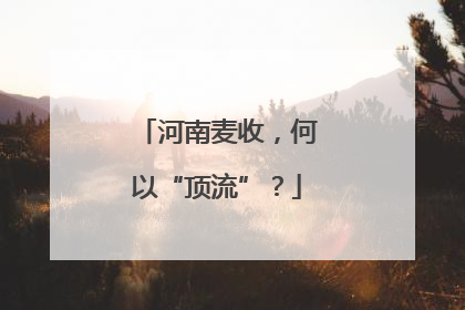 河南麦收，何以“顶流”？