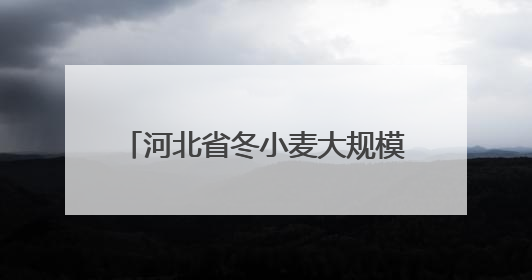 河北省冬小麦大规模机收工作全面启动