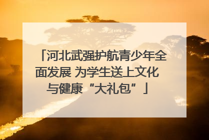河北武强护航青少年全面发展 为学生送上文化与健康“大礼包”