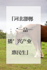 河北邯郸：“一品一播”兴产业惠民生