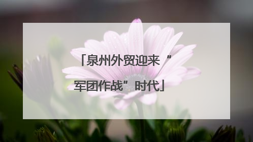 泉州外贸迎来“军团作战”时代