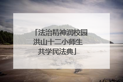 法治精神润校园 洪山十二小师生共学民法典