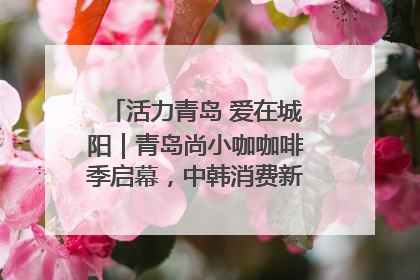 活力青岛 爱在城阳｜青岛尚小咖咖啡季启幕，中韩消费新场景点燃夏日热情