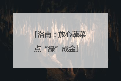 洛南：放心蔬菜点“绿”成金