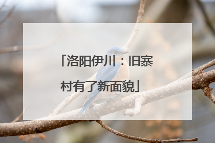 洛阳伊川：旧寨村有了新面貌