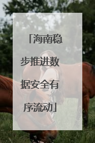 海南稳步推进数据安全有序流动