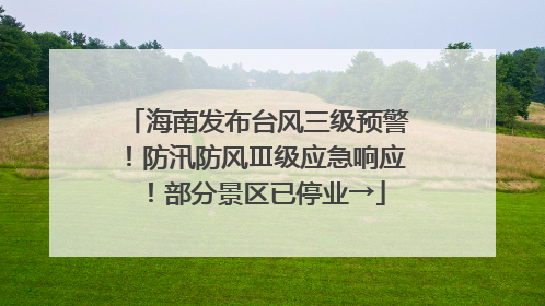 海南发布台风三级预警！防汛防风Ⅲ级应急响应！部分景区已停业→