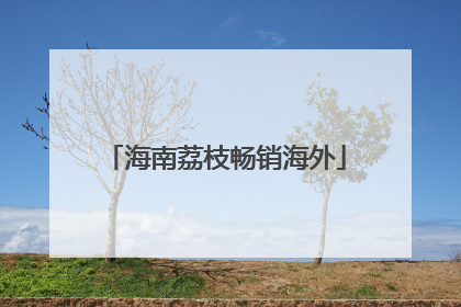 海南荔枝畅销海外
