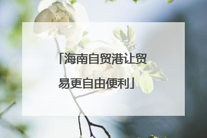 海南自贸港让贸易更自由便利
