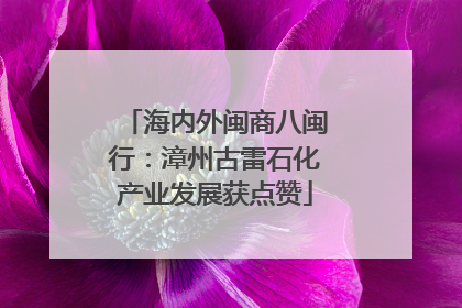 海内外闽商八闽行：漳州古雷石化产业发展获点赞