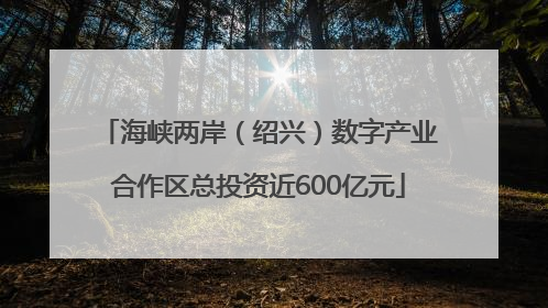 海峡两岸（绍兴）数字产业合作区总投资近600亿元