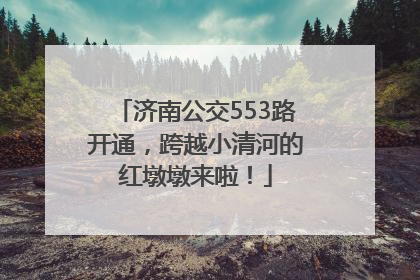济南公交553路开通，跨越小清河的红墩墩来啦！