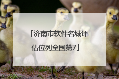 济南市软件名城评估位列全国第7