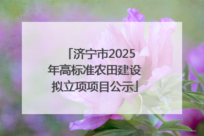 济宁市2025年高标准农田建设拟立项项目公示
