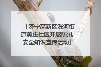 济宁高新区洸河街道黄庄社区开展防汛安全知识宣传活动