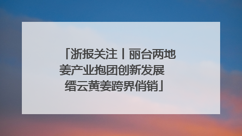 浙报关注丨丽台两地姜产业抱团创新发展 缙云黄姜跨界俏销