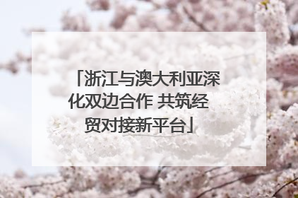 浙江与澳大利亚深化双边合作 共筑经贸对接新平台