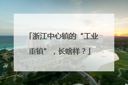 浙江中心镇的“工业重镇”，长啥样？