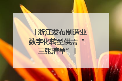 浙江发布制造业数字化转型供需“三张清单”