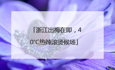 浙江出梅在即，40℃热辣滚烫候场