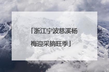 浙江宁波慈溪杨梅迎采摘旺季