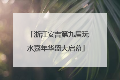 浙江安吉第九届玩水嘉年华盛大启幕