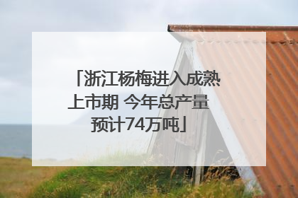 浙江杨梅进入成熟上市期 今年总产量预计74万吨
