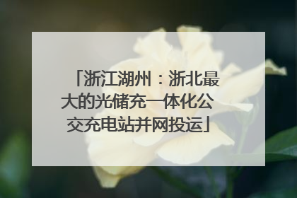 浙江湖州：浙北最大的光储充一体化公交充电站并网投运
