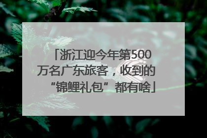 浙江迎今年第500万名广东旅客，收到的“锦鲤礼包”都有啥