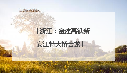 浙江：金建高铁新安江特大桥合龙