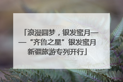 浪漫圆梦，银发蜜月——“齐鲁之星”银发蜜月新疆旅游专列开行