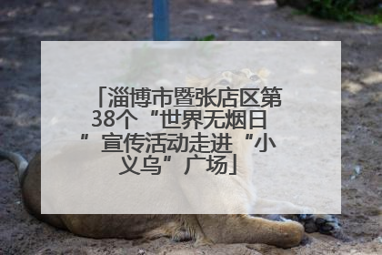 淄博市暨张店区第38个“世界无烟日”宣传活动走进“小义乌”广场