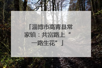 淄博市高青县常家镇：共富路上“一路生花”
