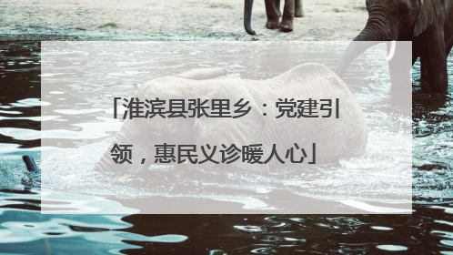 淮滨县张里乡：党建引领，惠民义诊暖人心