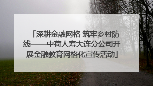 深耕金融网格 筑牢乡村防线——中荷人寿大连分公司开展金融教育网格化宣传活动