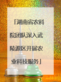 湖南省农科院团队深入武陵源区开展农业科技服务