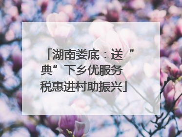 湖南娄底：送“典”下乡优服务 税惠进村助振兴