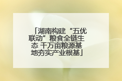 湖南构建“五优联动”粮食全链生态 千万亩粮源基地夯实产业根基