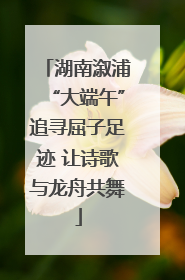 湖南溆浦“大端午”追寻屈子足迹 让诗歌与龙舟共舞