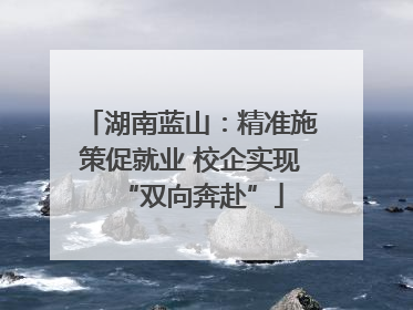 湖南蓝山：精准施策促就业 校企实现“双向奔赴”