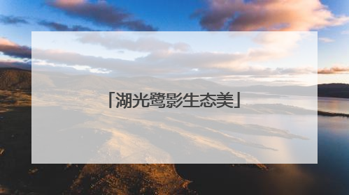 湖光鹭影生态美