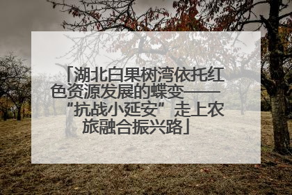 湖北白果树湾依托红色资源发展的蝶变——“抗战小延安”走上农旅融合振兴路