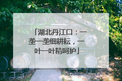 湖北丹江口：一垄一垄细耕耘，一叶一叶精呵护