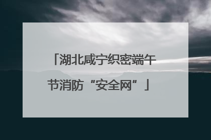 湖北咸宁织密端午节消防“安全网”