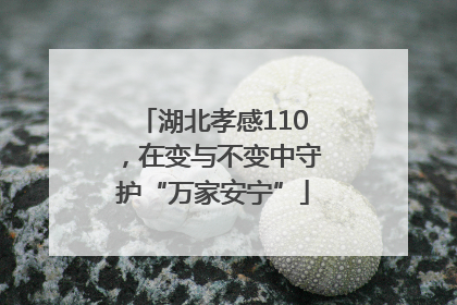 湖北孝感110，在变与不变中守护“万家安宁”