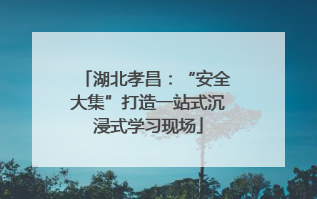 湖北孝昌：“安全大集”打造一站式沉浸式学习现场