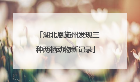 湖北恩施州发现三种两栖动物新记录